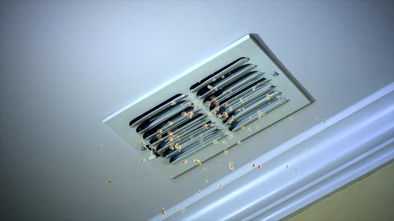 Best Affordable HVAC Duct Cleaning  in Lake Arrowhead, ME